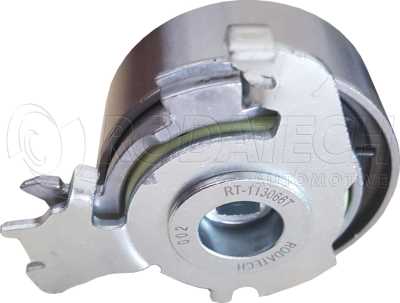 RT-113066T